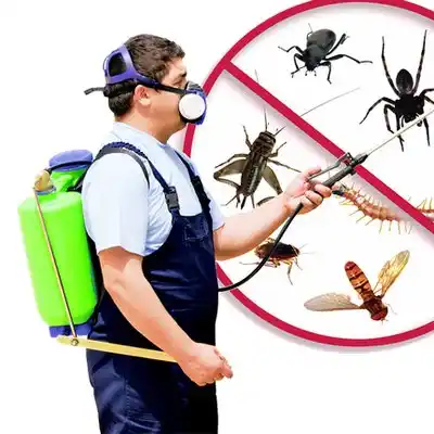 pest control Pemberton Heights